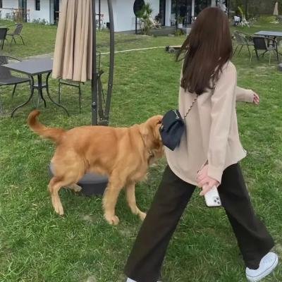 头号人蛇